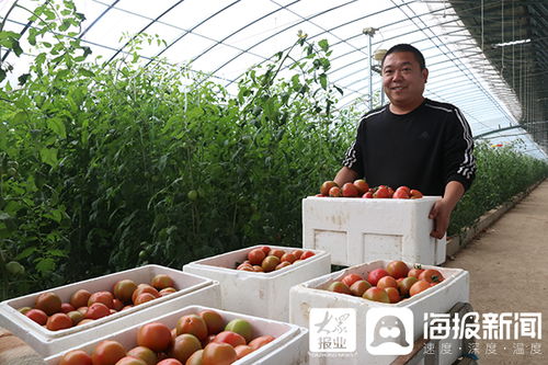 用地标性农产品打造莘县高端精致农业名片