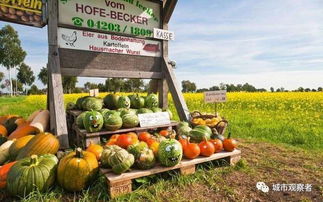 乡村旅游农产品创意升级之路