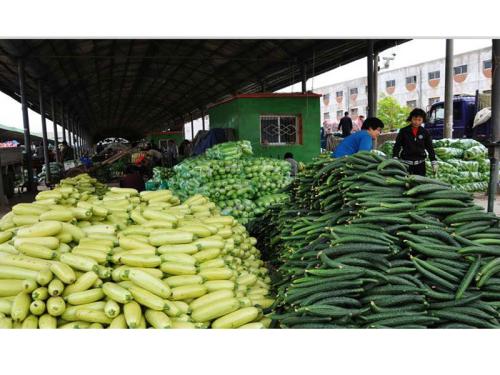 工厂蔬菜配送报价 农产品供应链的透明化与效率提升