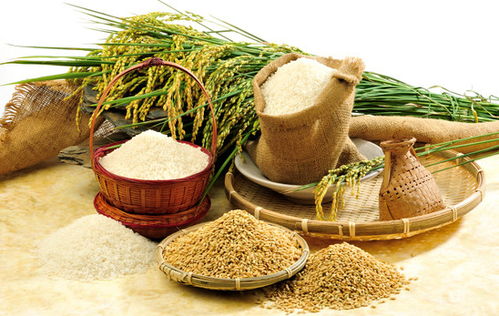 一季度国家农产品质量安全例行监测报告显示我国农产品总体合格率保持高位