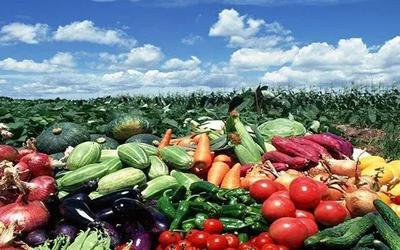 推进农产品高质量发展 路径与策略