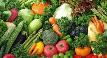 农产品发展的时代新篇 从传统耕作到智慧农业