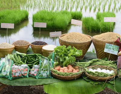 我国农产品质量安全持续向好 合格率连续六年稳定在97%以上